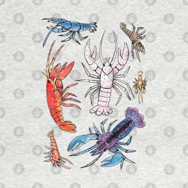 Colorful Aquatic Crayfish Species in Watercolor painting by narwhalwall